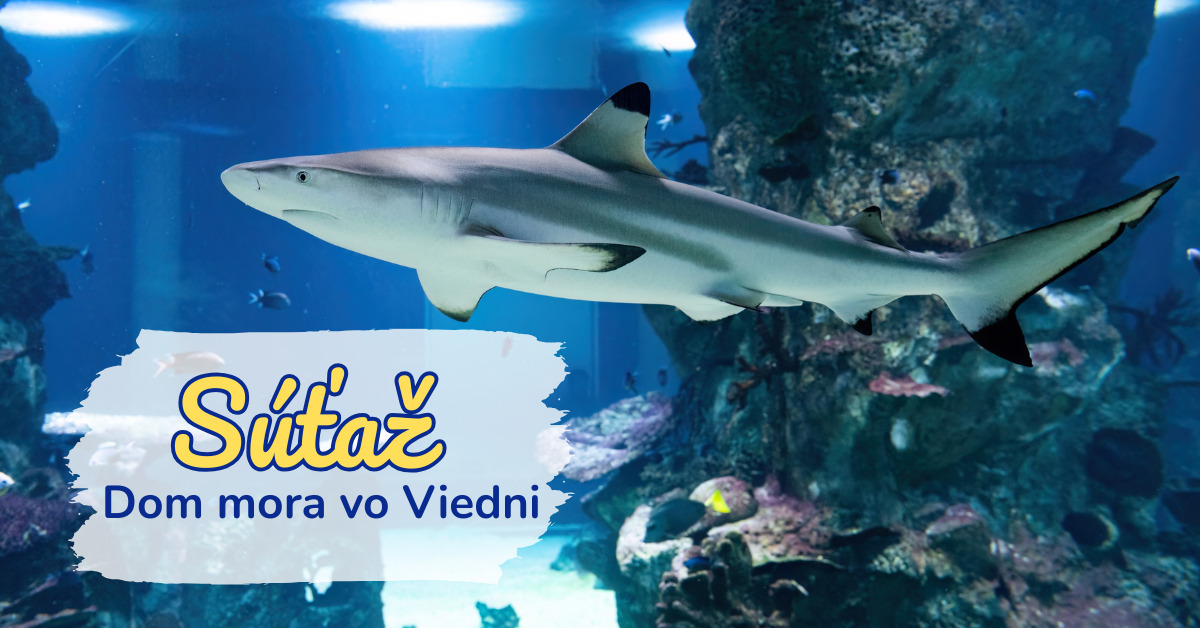 Jarná online súťaž o 3 rodinné vstupenky do Domu mora v