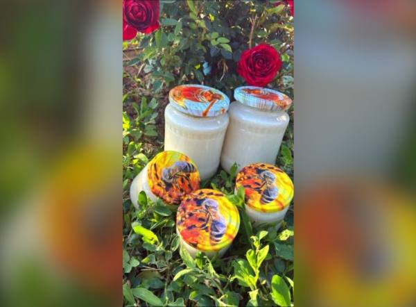 SÚŤAŽ HandMade MBarbi: vyhrajte pohár medu s príchuťou eukalyptu