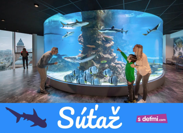 SÚŤAŽ s Domom mora vo Viedni - jedinečný podmorský svet v centre Viedne